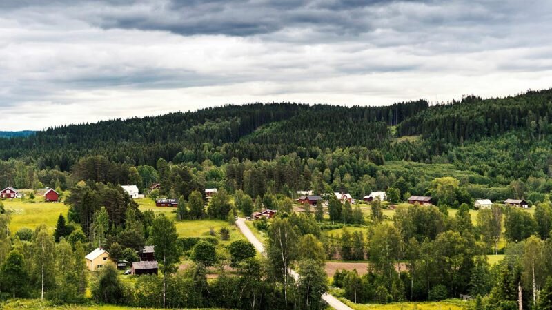 Verksamhets- planering genom målstyrning
